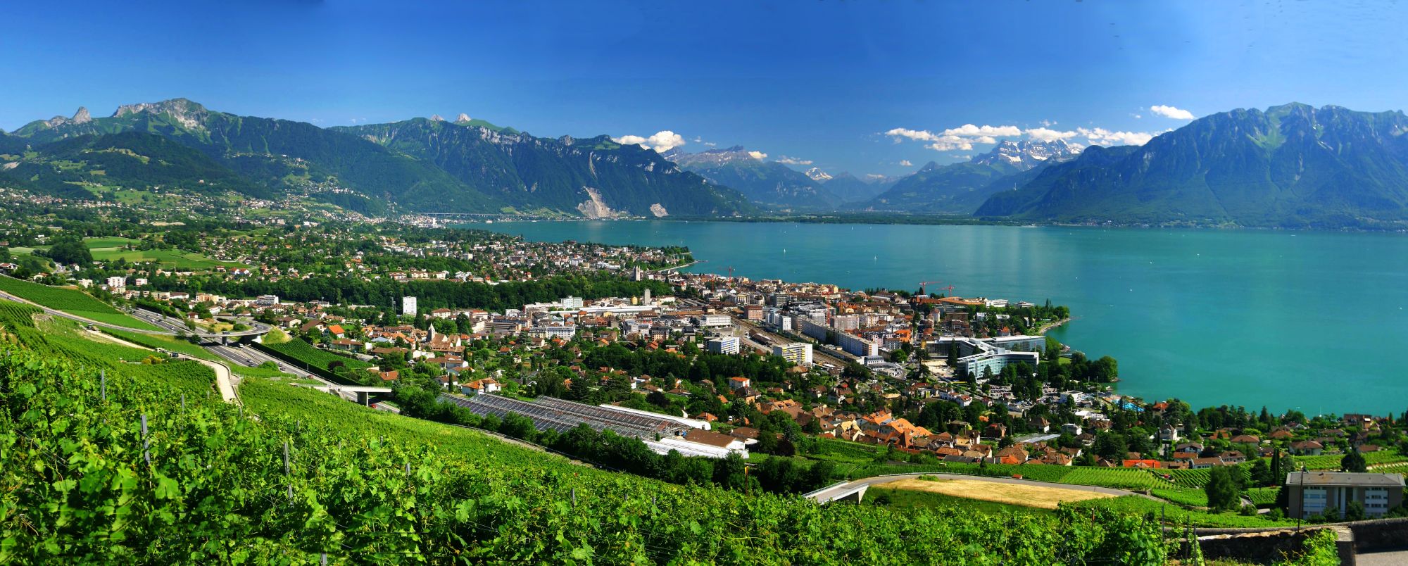 avocat Vevey